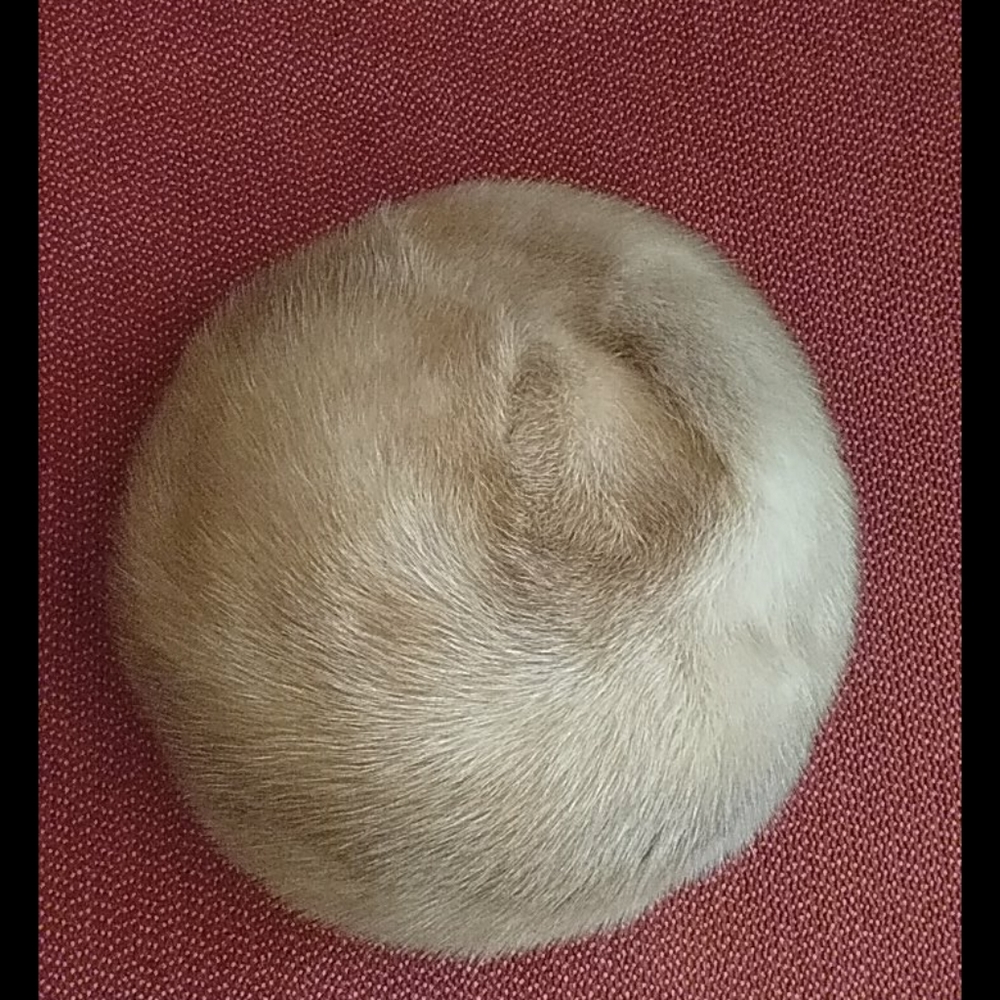 Vintage  pillbox mink hat $49+free scarf - Picture 2 of 7